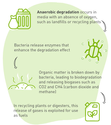 Anaerobic biodegradation